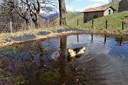 88 Dori nuota in 'piscina' ...